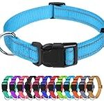 Le meilleur collier pour Chihuahua : Comparaison et analyse des produits phares pour votre petit compagnon à quatre pattes