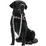 Top 5 des meilleurs produits pour les cockers croisés labradors: Comparaison et analyse complet