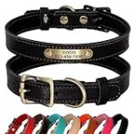Les Meilleurs Produits pour Chiot Bouledogue Continental: Analyse et Comparaison