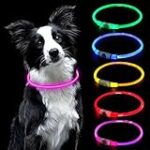 Comparatif des meilleurs colliers lumineux rechargeables pour chien : Trouvez le plus adapté à votre compagnon à quatre pattes !