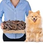 Les meilleurs cou de poulet pour chien : Analyse et comparaison des produits pour animaux de compagnie