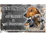 Les meilleurs produits pour teckel poil ras arlequin : analyse et comparaison