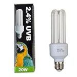 Les Meilleures Lampes UV pour Oiseaux : Analyse et Comparaison des Produits pour Animaux de Compagnie