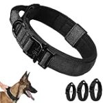 Comparatif des meilleurs colliers pour staff : quel modèle choisir pour votre animal de compagnie ?