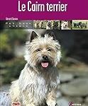 Guide d'adoption pour Cairn Terrier : Analyse des meilleurs produits pour chouchouter votre nouveau compagnon à quatre pattes