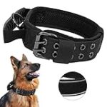 Comparatif des meilleurs colliers larges pour gros chiens : trouvez le produit idéal pour votre animal de compagnie !