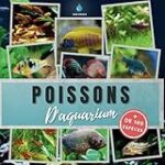 Les meilleurs produits pour poissons d'eau douce en aquarium : analyse et comparaison