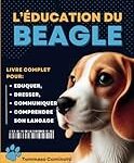 Guide ultime du dressage du beagle : Analyse des meilleurs produits pour votre fidèle compagnon