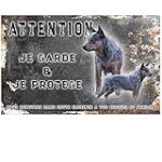 Guide d'achat pour Bouvier Australien à donner : Comparaison des meilleurs produits pour animaux de compagnie