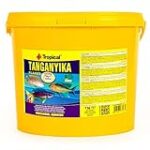 Les meilleurs sites de vente en ligne de cichlidés du lac Tanganyika pour vos animaux de compagnie Les meilleurs sites de vente en ligne de cichlidés du lac Tanganyika pour vos animaux de compagnie