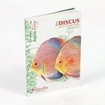 Comparaison des prix des poissons discus : Trouvez le meilleur rapport qualité-prix pour votre animal de compagnie