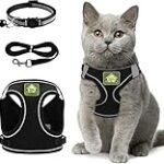 Top équipements pour chat : Analyse et comparaison des meilleurs produits pour animaux de compagnie