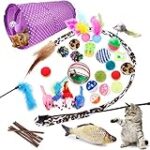 Trouvez le Meilleur Équipement pour Accueillir un Chaton Chartreux à Vendre