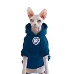 Les meilleures options de produits pour accueillir vos adorables chatons sphynx à vendre