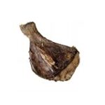 Guide complet pour protéger les omoplates de votre chien : Analyse et comparaison des meilleurs produits pour animaux de compagnie