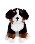 Comparatif des meilleurs produits pour un croisé Bouvier Bernois – Beauceron : Guide d'achat pour votre compagnon à quatre pattes