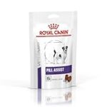 Comparatif des meilleurs dispositifs pour administrer des comprimés pour chiens: Pill assist chien