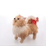 Comparatif des meilleurs accessoires pour Spitz Ourson : le guide ultime pour chouchouter votre compagnon à quatre pattes !