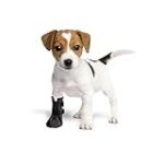 Top 5 des meilleures protections pour patte arrière pour chien blessé : Comparatif et analyse des produits indispensables pour protéger votre compagnon à quatre pattes