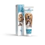 Les meilleurs laxatifs pour chien en pharmacie : Comparaison et analyse des produits essentiels pour les animaux de compagnie