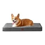 Les meilleurs matelas pour chien indestructibles : analyse et comparaison des produits pour animaux de compagnie