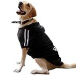 Comparatif des meilleurs pulls pour Staffie : Trouvez le style parfait pour votre compagnon à quatre pattes