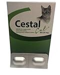 Les meilleurs omeprazole pour chat : Analyse et comparaison des produits essentiels pour la santé de votre animal