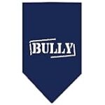 Analyse et comparaison du meilleur collier Bully XXL bleu pour chiens : lequel choisir pour votre fidèle compagnon ?