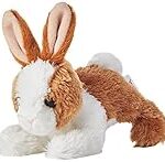 Analyse et comparaison des meilleurs accessoires pour lapin teddy nain : Guide d'achat complet