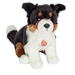 Les meilleurs produits pour animaux de compagnie pour Border Collie rouge tricolore: analyse et comparaison
