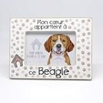 Les meilleurs produits pour un beagle en appartement : analyse et comparaison