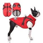 Les meilleurs manteaux pour Staffie : Analyse et comparaison des produits pour animaux de compagnie Les meilleurs manteaux pour Staffie : Analyse et comparaison des produits pour animaux de compagnie