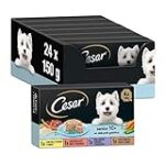 Comparaison des prix d'une césarienne pour chienne : Comment trouver le meilleur rapport qualité-prix pour votre animal de compagnie