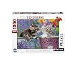 Guide d'achat des meilleurs produits pour animaux de compagnie pour choyer votre chaton avec des bisous Guide d'achat des meilleurs produits pour animaux de compagnie pour choyer votre chaton avec des bisous