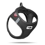 Comparatif des meilleurs harnais Curli pour animaux de compagnie : Quel modèle choisir ?