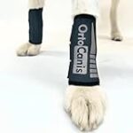 Les meilleurs produits pour animaux de compagnie : Comparaison des besoins de la carpe et du chien