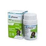Analyse et comparaison : Zylkene Plus, le meilleur choix pour apaiser vos animaux de compagnie