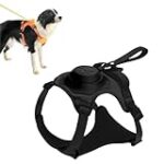Comparatif des meilleurs harnais avec laisse rétractable pour animaux de compagnie : Quel modèle choisir ?
