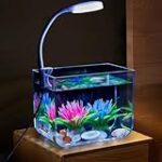 Comparatif des meilleurs petits aquariums pour combattant : Trouvez le produit idéal pour votre animal de compagnie !