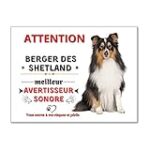 Analyse et comparaison des meilleurs produits pour animaux de compagnie : Comment choisir le meilleur pour votre Berger Shetland à vendre non LOF?