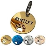 Top 5 des médailles pour chien solides : Comparaison des meilleurs produits pour animaux de compagnie