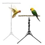 Comparatif des meilleurs arbres pour perroquet : trouvez le parfait accessoire pour votre compagnon à plumes !