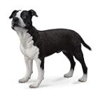 Guide d'achat pour Miniature Staffordshire Bull Terrier : Comparaison des meilleurs produits pour animaux de compagnie