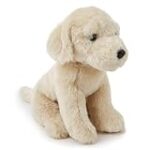 Comparatif des meilleurs services pour labrador : guide d'achat pour votre animal de compagnie