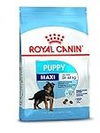 Analyse et comparaison : Royal Canin Maxi Puppy 15kg + 3kg gratuits, la meilleure option pour les grands chiots