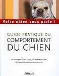 Comprendre la psychologie du chien : clé de voûte pour choisir les meilleurs produits pour votre animal de compagnie