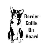 Les Meilleurs Produits pour Border Collie Nain : Analyse et Comparaison Les Meilleurs Produits pour Border Collie Nain : Analyse et Comparaison
