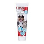 Dentifrice pour chien en pharmacie : Comparaison des meilleurs produits pour l'hygiène dentaire des animaux de compagnie