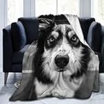 Les Meilleurs Produits Pour Border Collie Noir Tricolore: Analyse et Comparaison