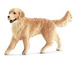 Courbe de poids du golden retriever : Comparaison des produits essentiels pour votre fidèle compagnon